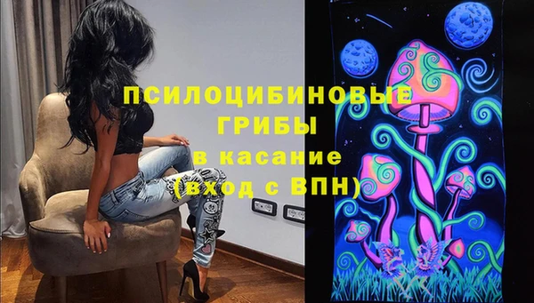 дживик Армянск