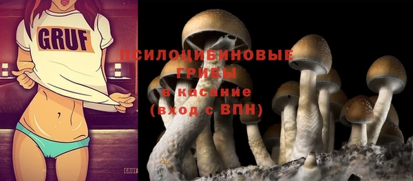прущая мука Няндома