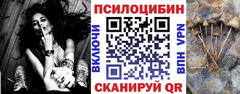 Галлюциногенные грибы Cubensis  Хилок 